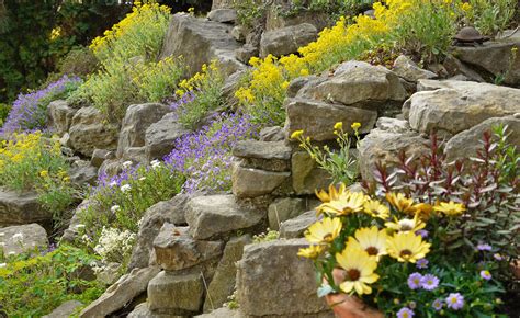 Wie Man Einen Steingarten In Ihrem Garten Baut